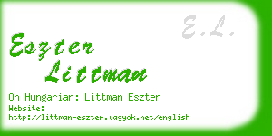 eszter littman business card